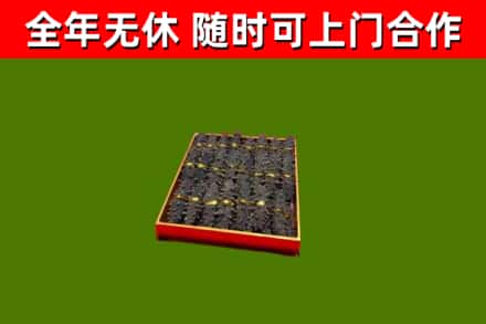 芙蓉回收海参